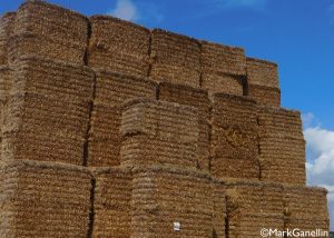 Buntingford Stacks