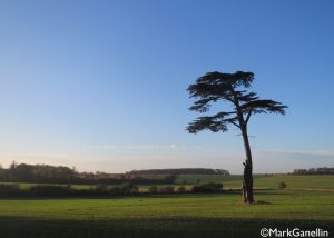 Buntingford plains