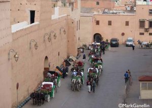 Transport to El Badii Palace, Marrakech