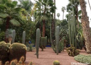Jardin Majorelle, Marrakech