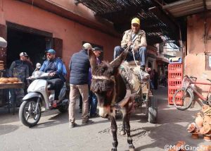 Getting around, Marrakech